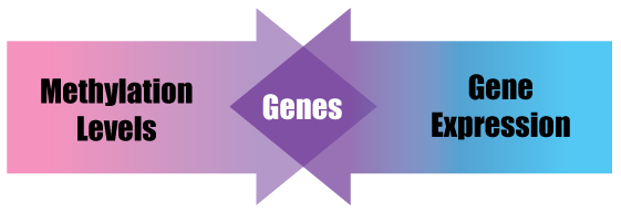 methylation and gene expression integration