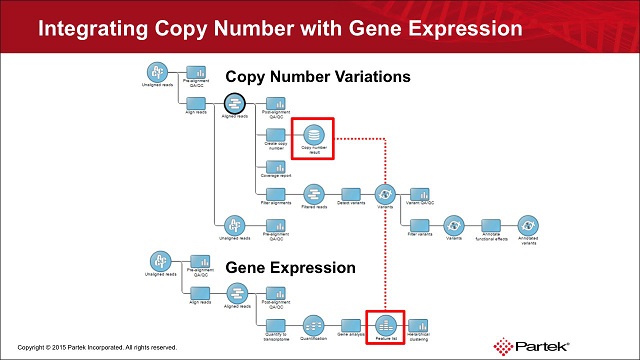 CNV in NGS & Integrate with Gene Expression Data