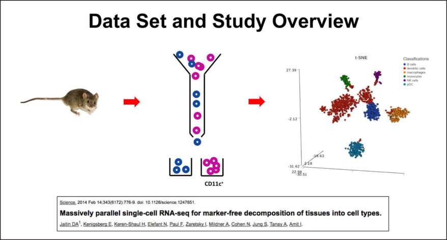 Single Cell Analysis – Identifying Group Biomarkers