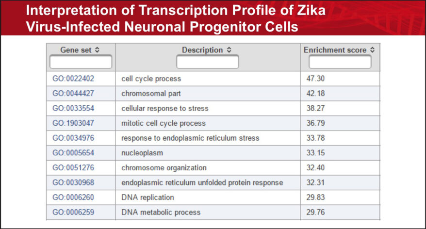 RNA-Seq Analysis - Zika Affects