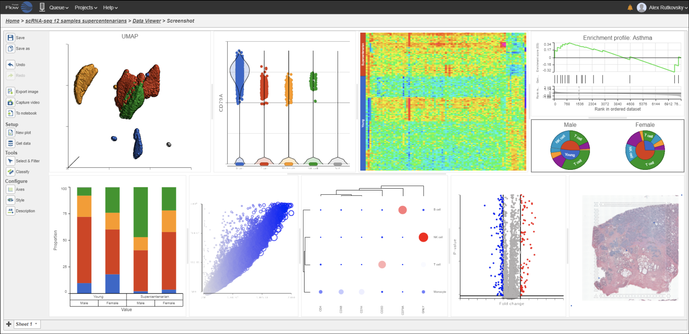 Getting Started with Single Cell Analysis